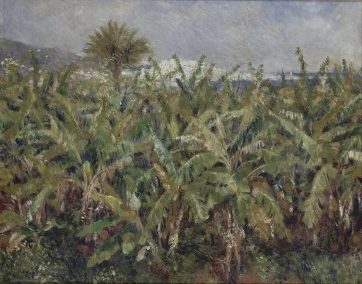 A dense field of banana trees with a palm rising above the leaves and white coastal buildings visible beyond the sea, in green, brown and grey