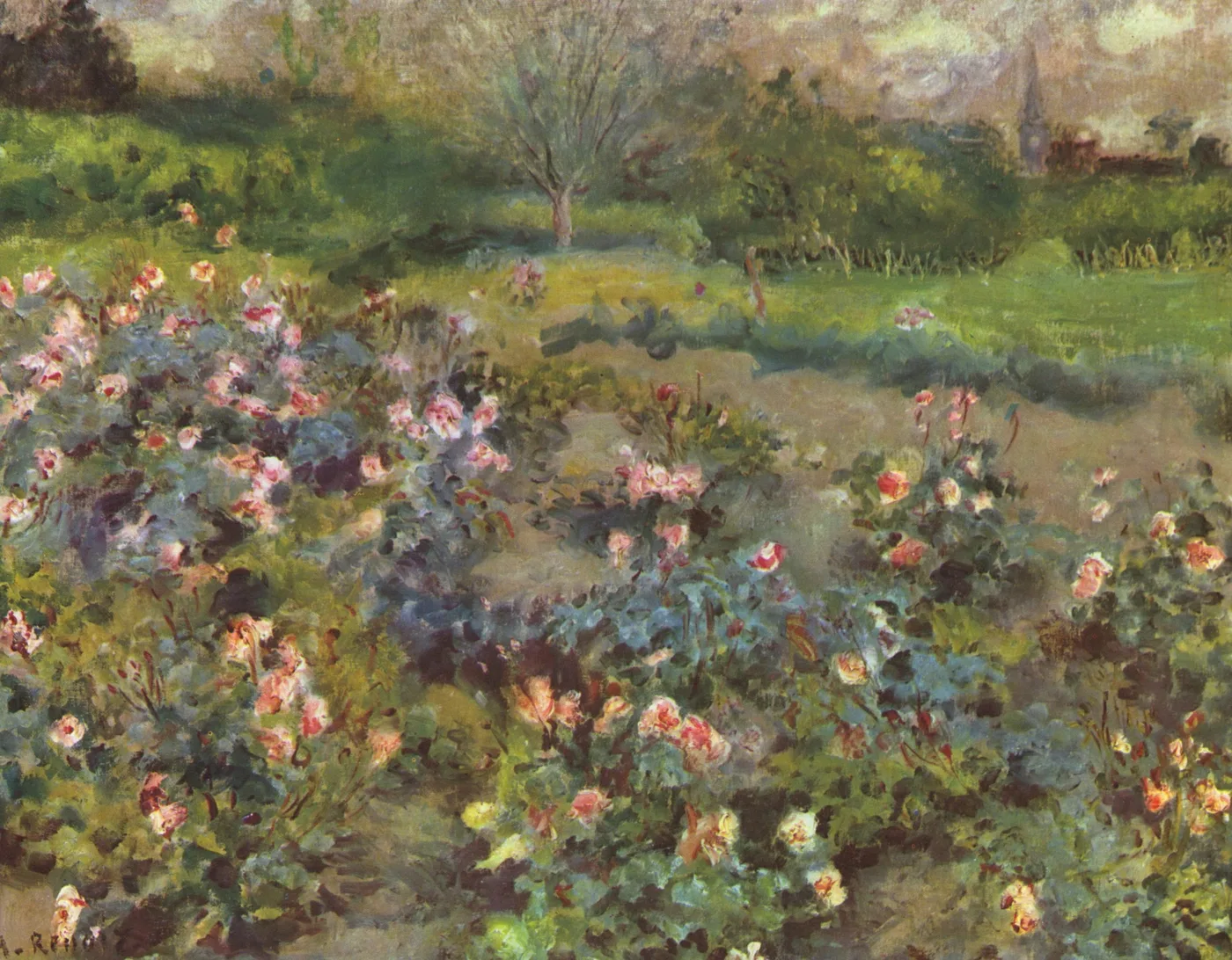 A rose garden in bloom with pink and white flowers filling the foreground, a lone tree and church spire on the horizon