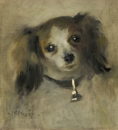 A close-up portrait of a small spaniel's head with a bell collar, floppy ears and dark eyes, in warm brown tones