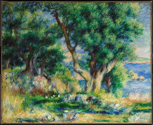 Gnarled olive trees frame a view of the blue Mediterranean sea along a sunlit rocky coastline.