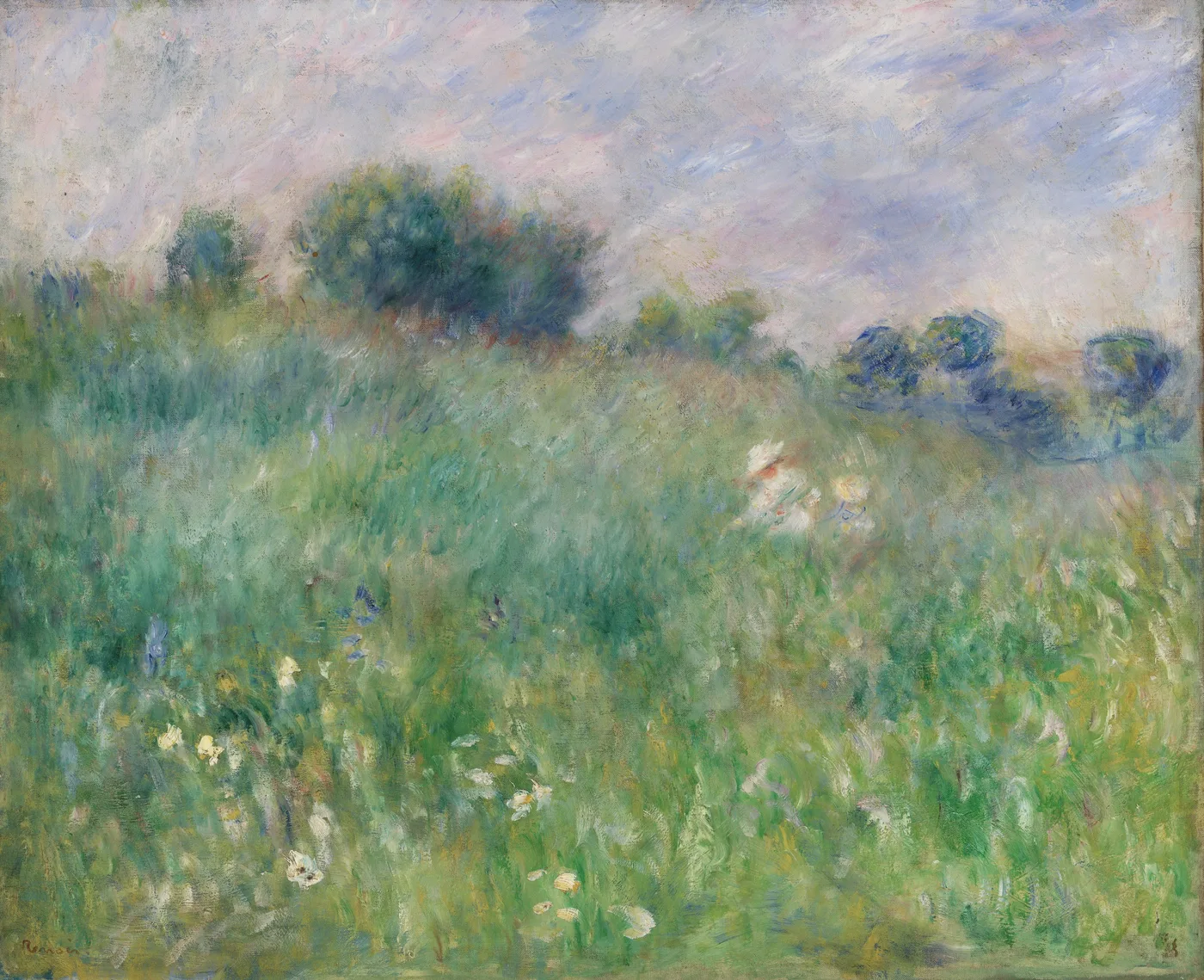 A lush green meadow scattered with white and yellow wildflowers stretches toward distant shrubs under a pale lavender sky.