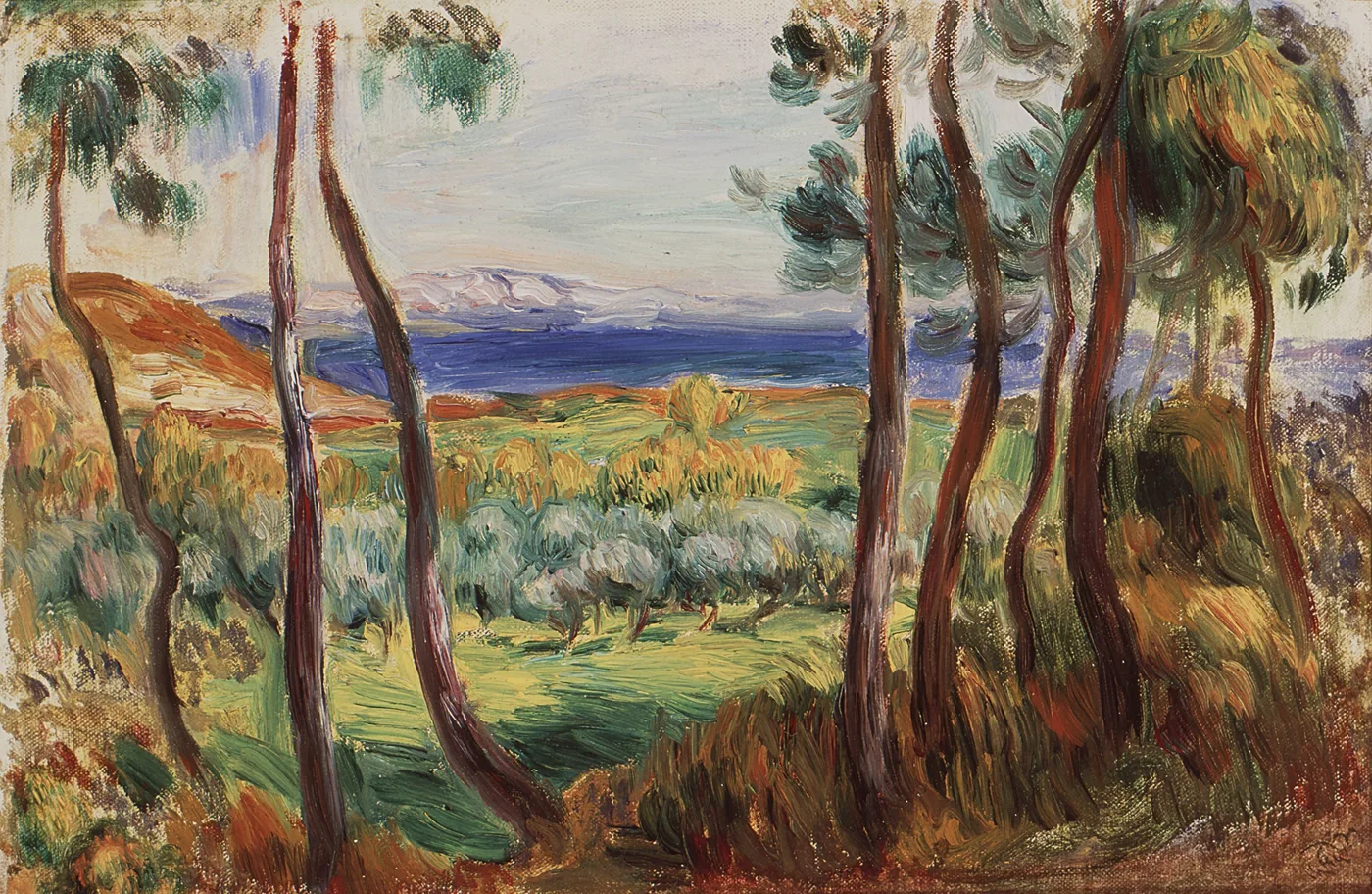 Slender pine trunks frame a view over green-gold fields toward a deep blue sea and distant mountains.