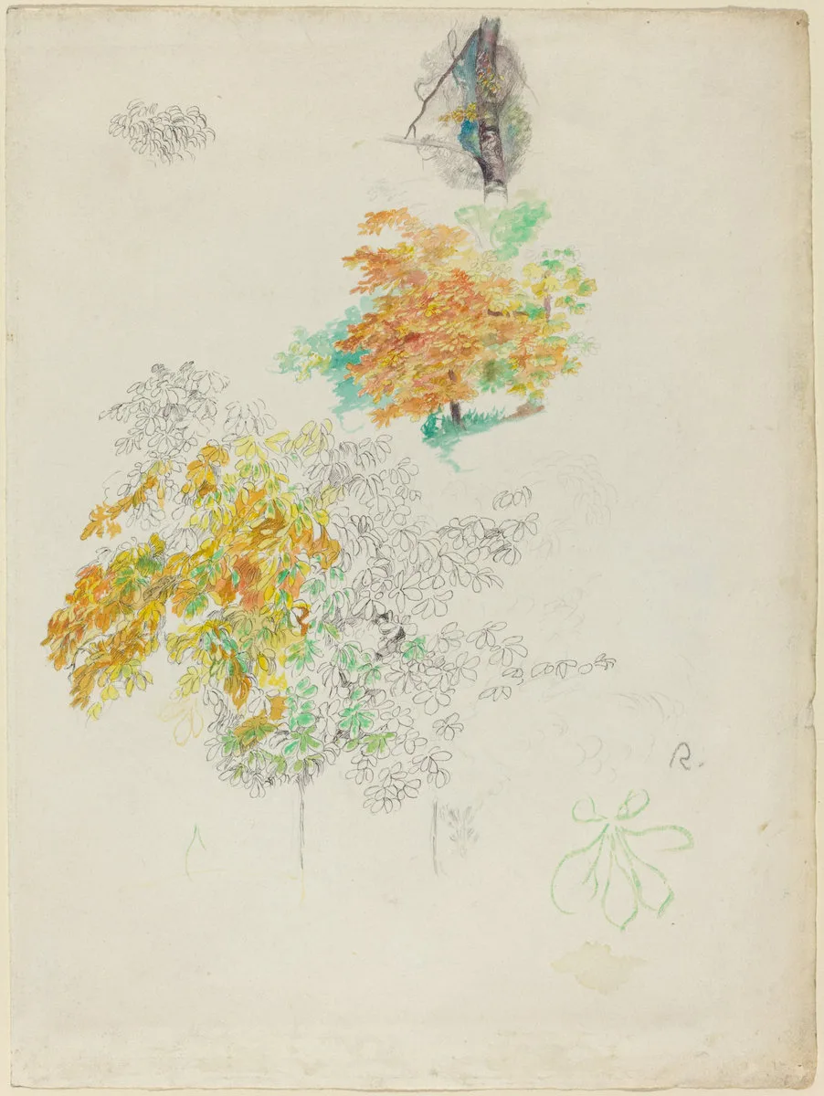 A sketchbook page of pencil and watercolor studies of trees and foliage, in orange, green, and pale cream
