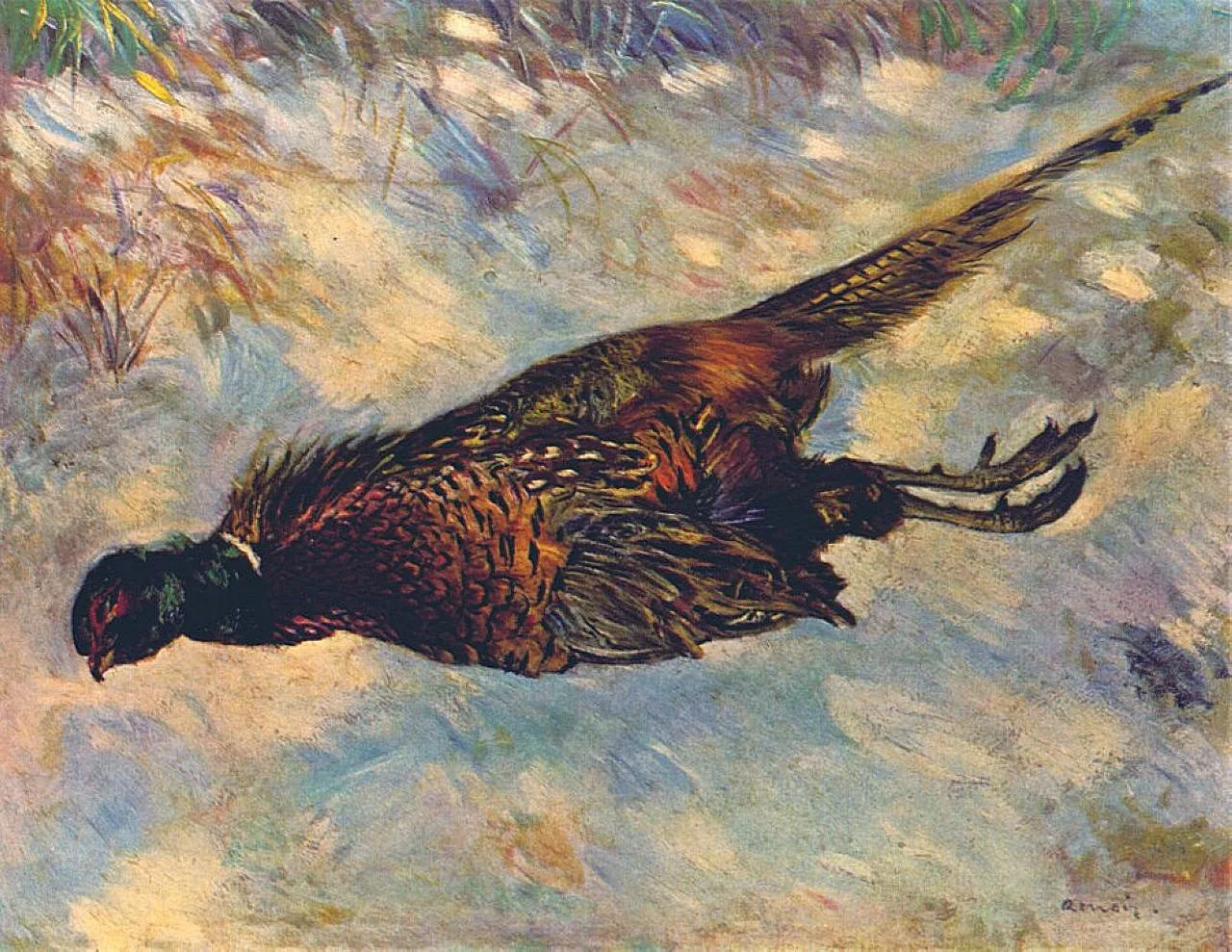 A dead pheasant lying in the snow with its long tail feathers spread, in rust brown, iridescent green, and white
