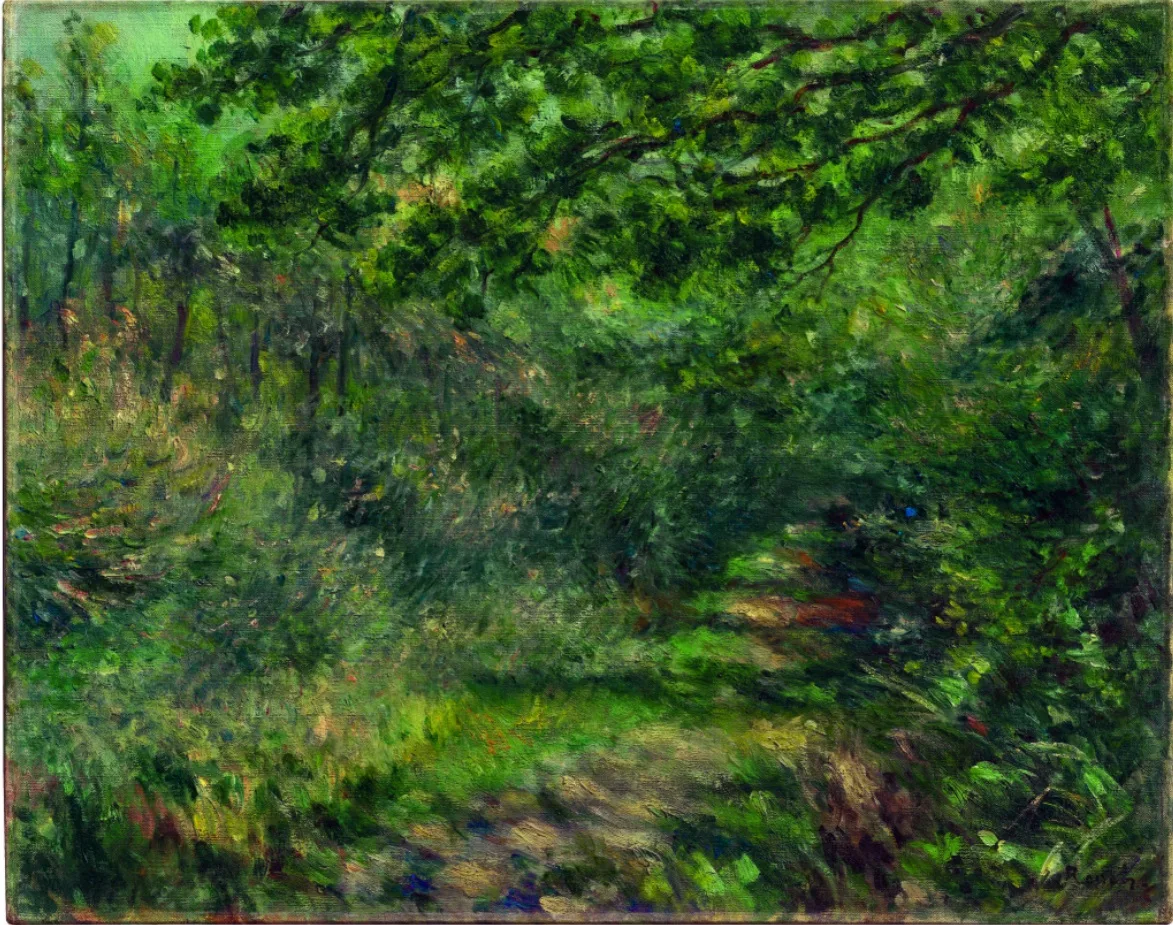 A dense forest path is framed by overhanging branches and dappled green foliage, with no figures present.